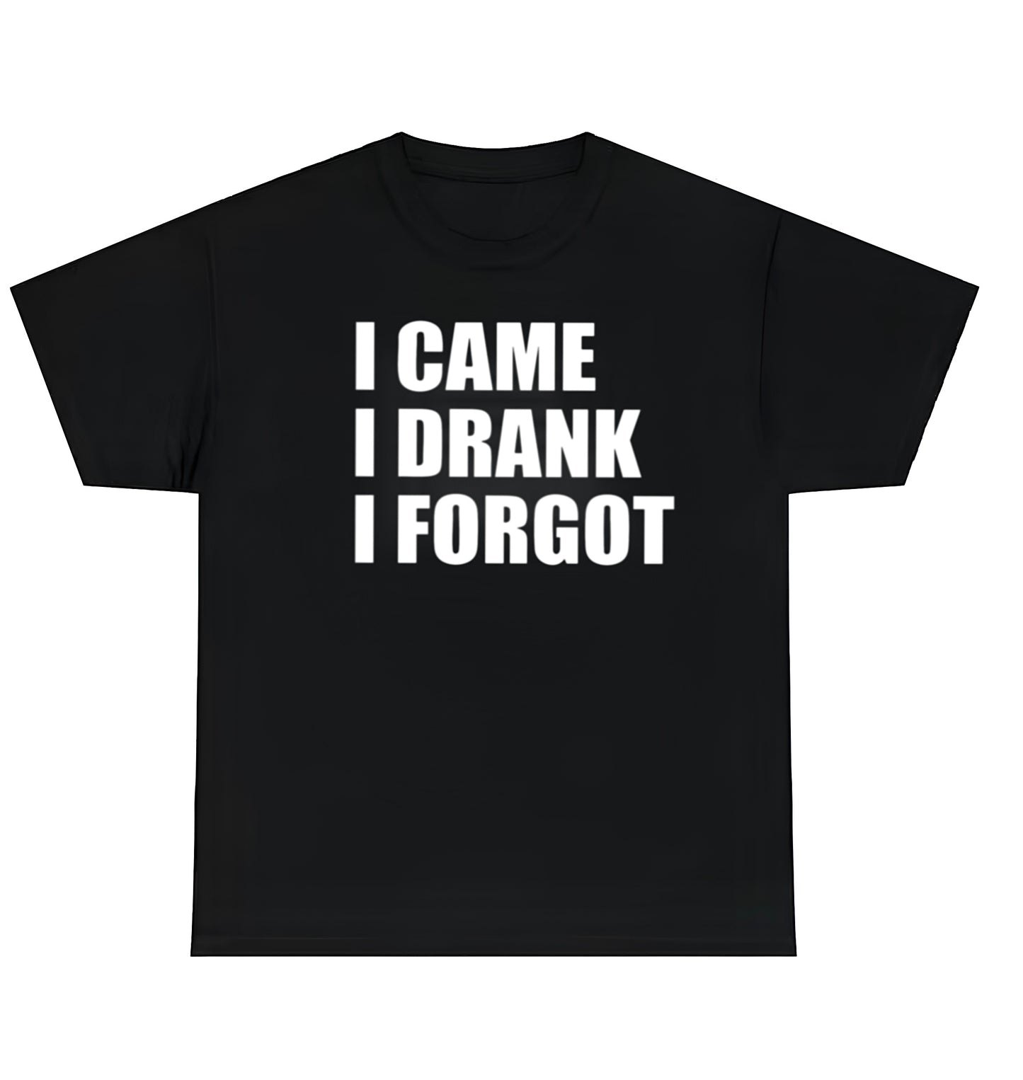 I CAME, I DRANK, I FORGOT